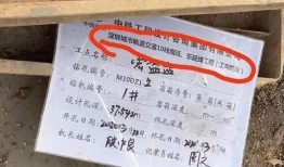 凤岗新闻爆料,最新爆料揭示当地热点事件