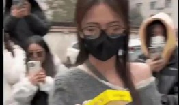 吃瓜爆料网红挨打,真相揭秘引网友热议